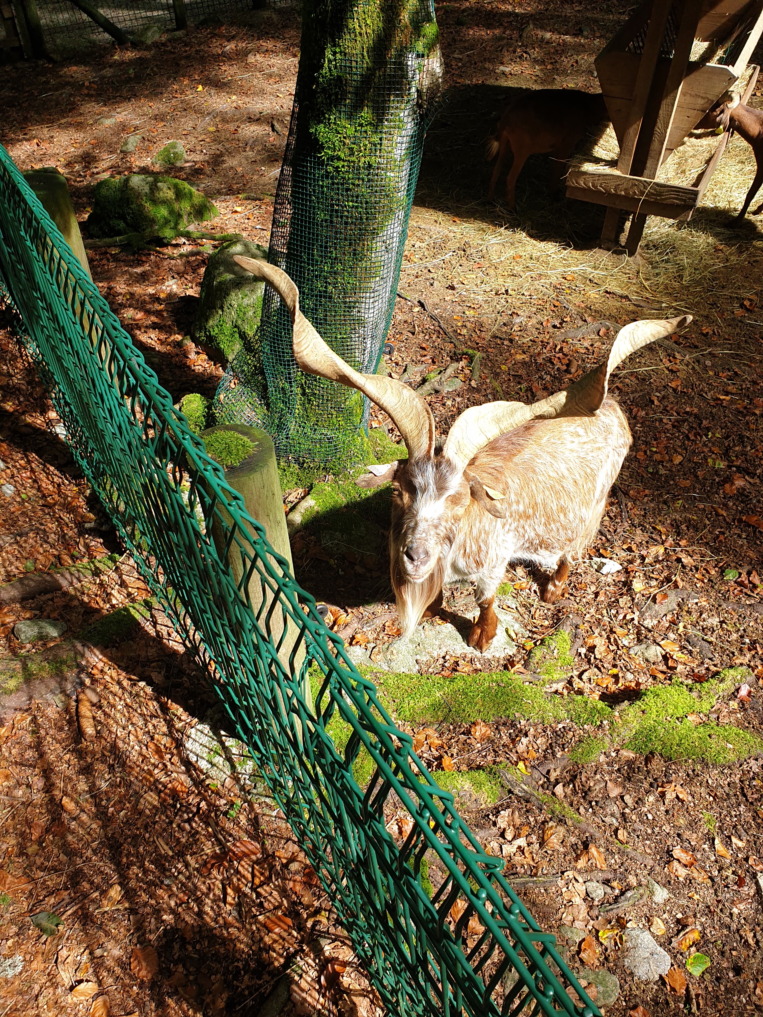 Photo n° 16 de l'avis de Sarah.h fait le 16/09/2020 à 12:45