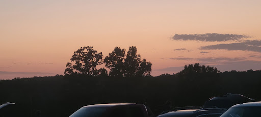Drive-in Movie Theater «Birdsong Drive-In Theater», reviews and photos, 907 Shiloh Church Rd, Camden, TN 38320, USA