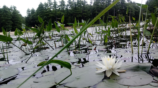 Community Center «Wason Pond Community Center, Chester NH», reviews and photos, 603 Raymond Rd, Chester, NH 03036, USA