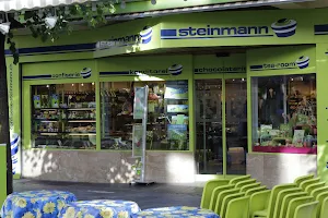 Steinmann image