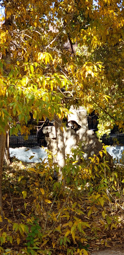 Zoo «Monkey Island», reviews and photos, 8 E 23rd Ave, Denver, CO 80205, USA