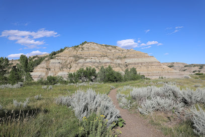 Caprock Coulee Trail
