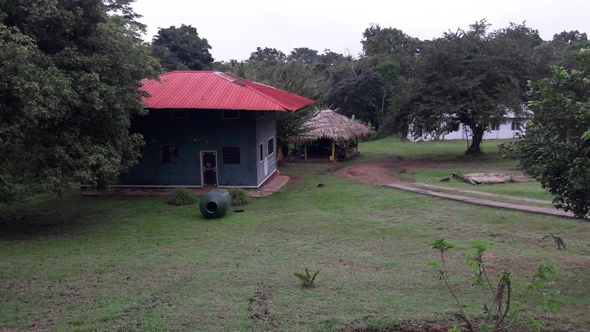 Punta Patiño by null