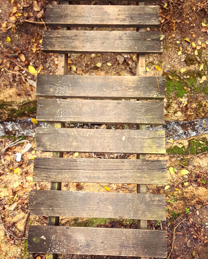 Nature Preserve «Oak Cliff Nature Preserve», reviews and photos, 2875 Pierce Street, Dallas, TX 75233, USA