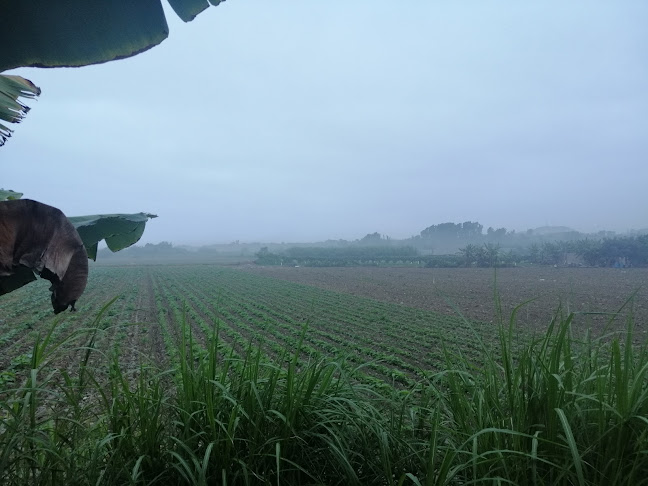La Casa De Matute - Restaurante