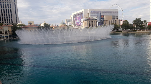 Luxury Hotel «Bellagio Hotel and Casino», reviews and photos, 3600 S Las Vegas Blvd, Las Vegas, NV 89109, USA