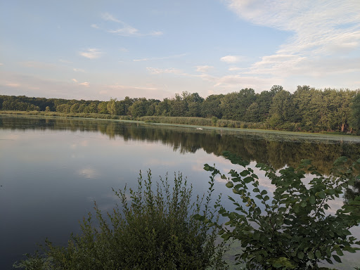Nature Preserve «The Celery Farm», reviews and photos, Franklin Turnpike, Allendale, NJ 07401, USA
