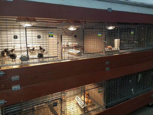 Hardware Store «Buchheit of House Springs», reviews and photos, 4550 Gravois Rd, House Springs, MO 63051, USA