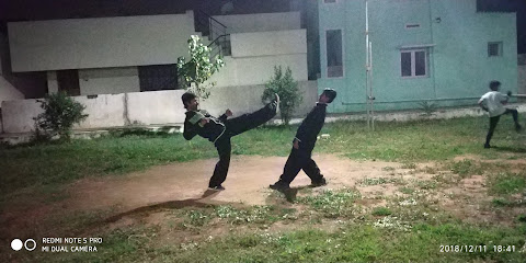 chi kungfu