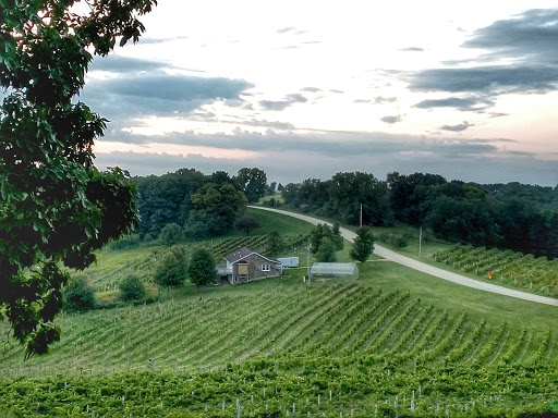 Winery «Park Farm Winery», reviews and photos, 15159 Thielen Rd, Durango, IA 52039, USA