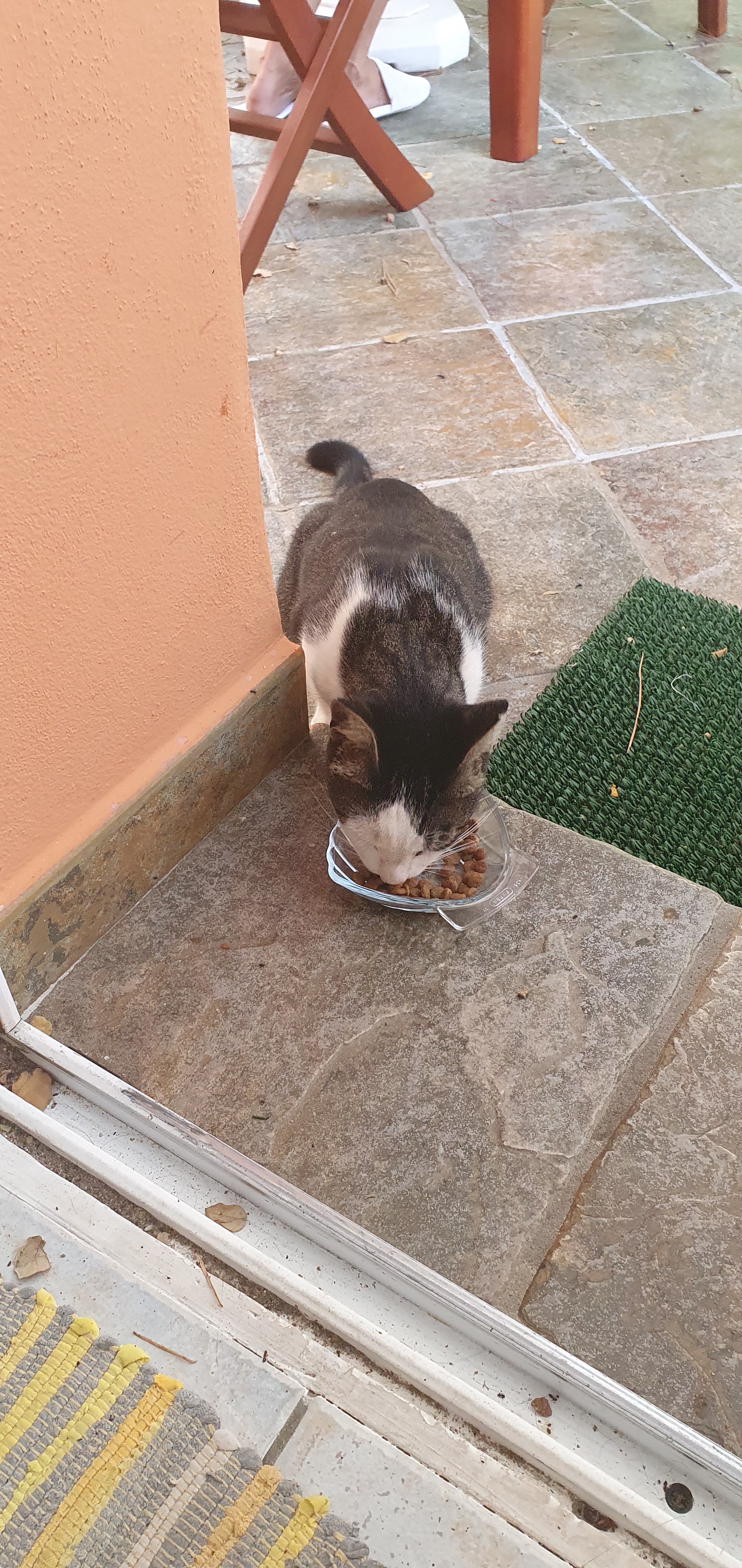 Photo n° 10 de l'avis de Serge.i fait le 10/08/2020 à 21:32