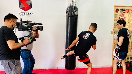 Sotelo MMA & Fitness - Granada 19, Granjas Independencia, 55290 Ecatepec de Morelos, Méx., Mexico