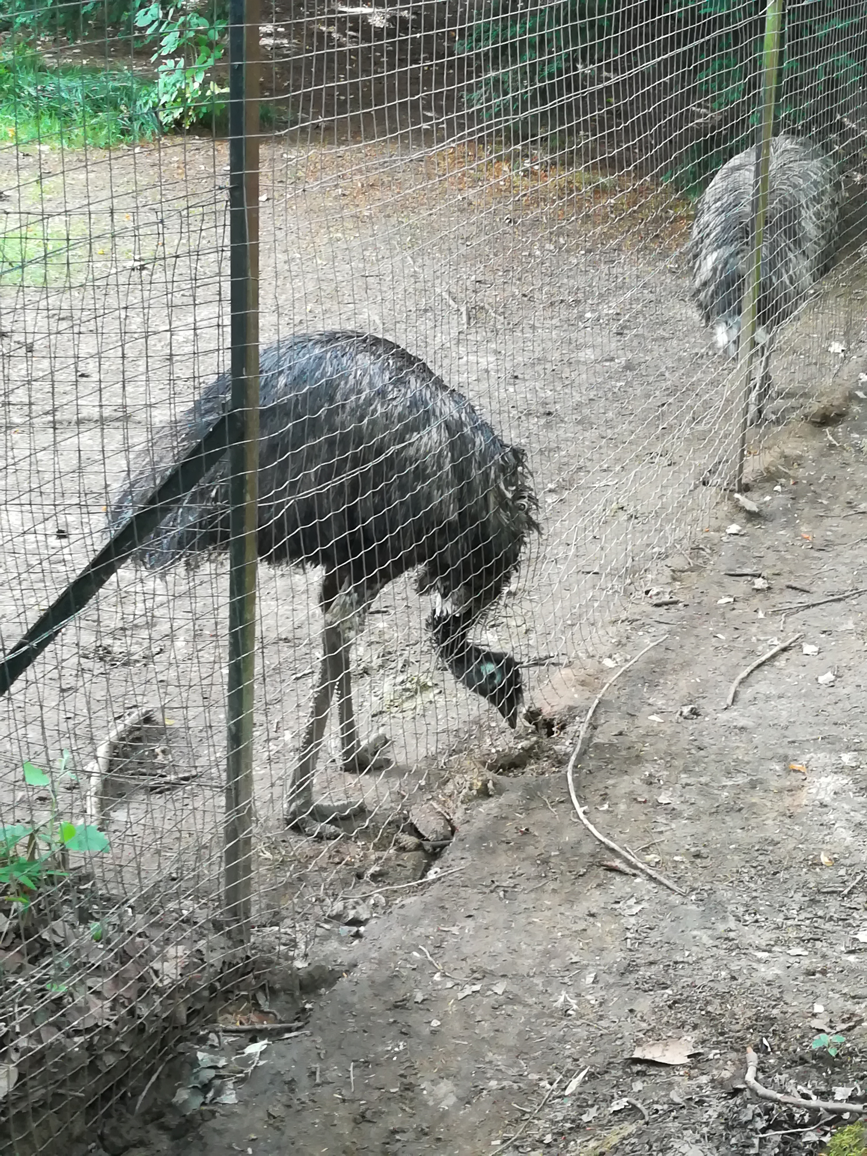 Photo n° 11 de l'avis de Christophe.A fait le 26/07/2020 à 19:03