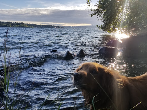 Park «Chism Beach Park», reviews and photos, 9600 SE 11th St, Bellevue, WA 98004, USA