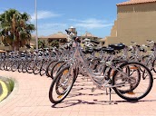 Alquiler de Bicicletas en Tenerife en Playa de la Américas