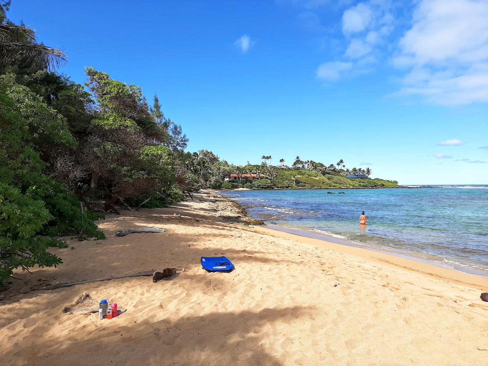 Anahola Beach II'in fotoğrafı çok temiz temizlik seviyesi ile