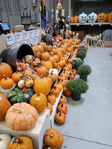 Home Improvement Store «The Home Depot», reviews and photos, 1315 US-19, Holiday, FL 34691, USA