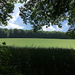 Photo n°3 de l'avis de Frank.e fait le 06/06/2022 à 12:07 sur le  Waldhuuske à Rosengarten