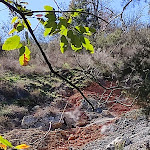 Photo n°5 de l'avis de Daniela.g fait le 12/03/2023 à 19:21 sur le  Che c'è c'è à Monterotondo Marittimo