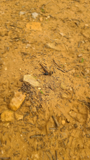 Zoo «The Exotic Resort Zoo», reviews and photos, 235 Zoo Trail, Johnson City, TX 78636, USA