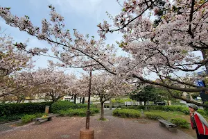 Wakamiya Oji Park image