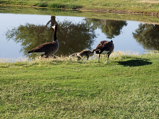 Golf Course «Papago Golf Course», reviews and photos, 5595 E Moreland St, Phoenix, AZ 85008, USA