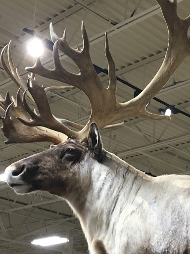 Casino «FIREKEEPERS CASINO», reviews and photos, 11177 E Michigan Ave, Battle Creek, MI 49014, USA