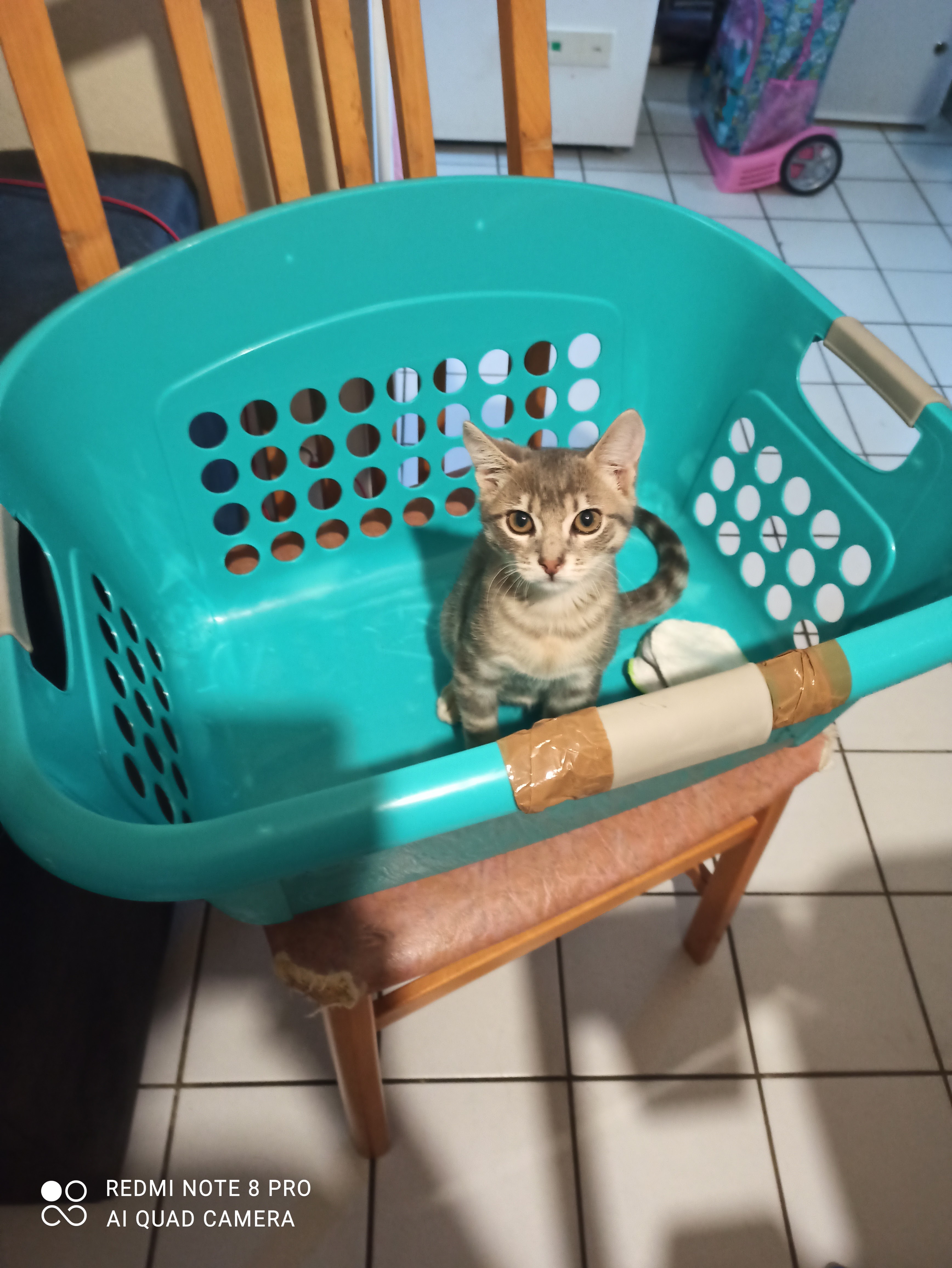 Photo n° 1 de l'avis de brigitte.l fait le 14/08/2021 à 14:15