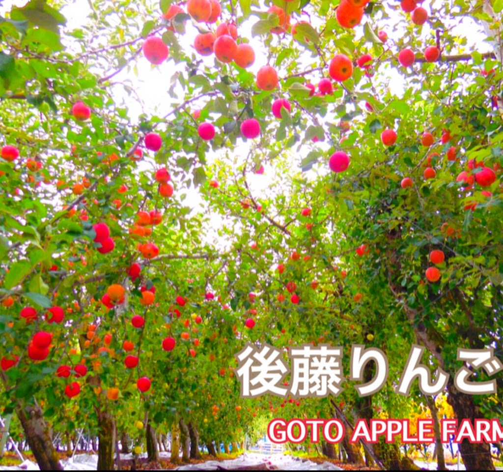 後藤りんご園