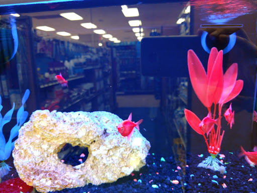 Pet Supply Store «Petco Animal Supplies», reviews and photos, 901 W Indiantown Rd #30, Jupiter, FL 33458, USA