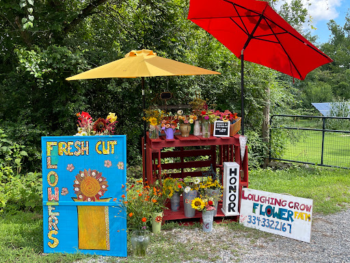 Real Estate Agency «Hank Cosby Real Estate», reviews and photos, 3812 Old Buckingham Road, Powhatan, VA 23139, USA