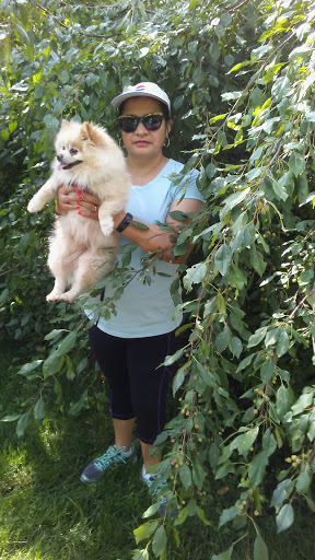 Park «Lowry Park», reviews and photos, 900 Douglas Ave, Minneapolis, MN 55403, USA