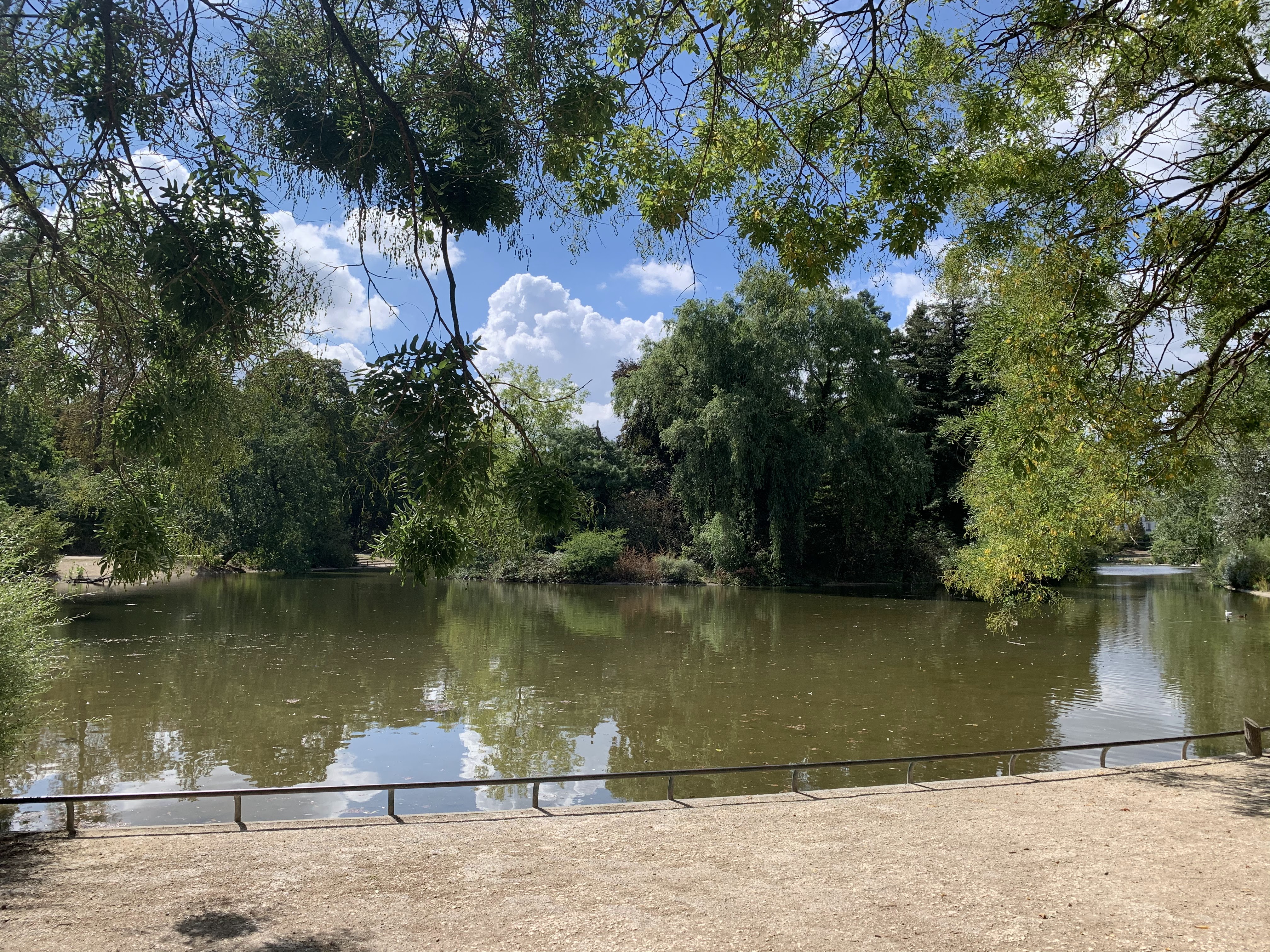 Photo n° 9 de l'avis de Laurent. fait le 30/08/2020 à 16:22