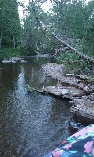 Tourist Attraction «Museum and Event Grounds for Mt. Rainier Railroad and Logging Museum», reviews and photos, 349 Mineral Creek Rd S, Mineral, WA 98355, USA