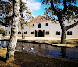 Groot Constantia-Trust photo