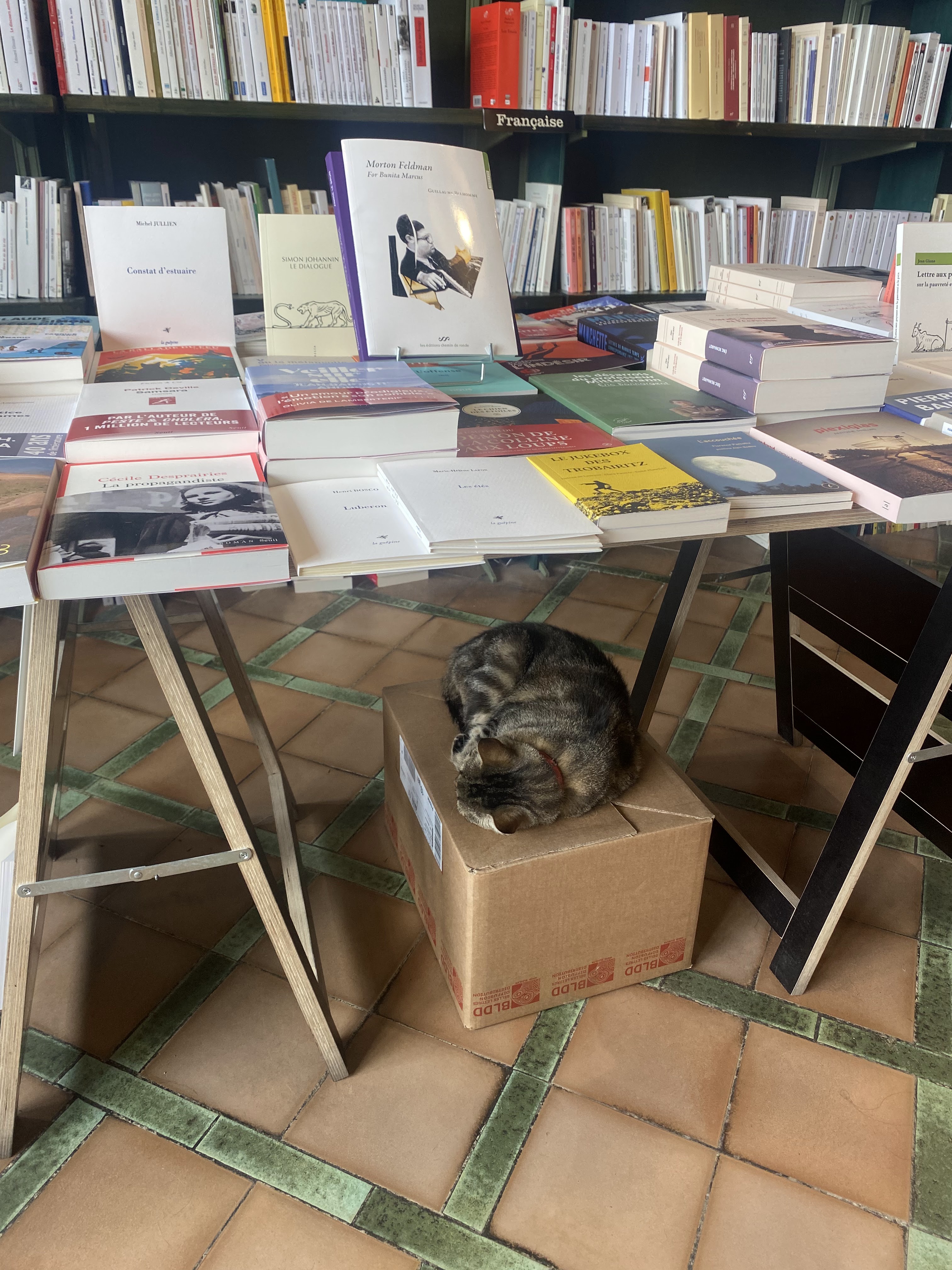 Photo n° 1 de l'avis de Maud.e fait le 23/08/2023 à 14:24
