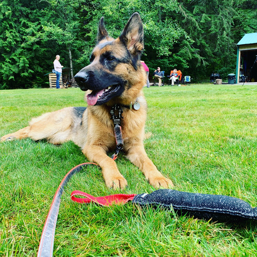 Pet Supply Store «Mud Bay», reviews and photos, 8867 161st Avenue Northeast, Redmond, WA 98052, USA