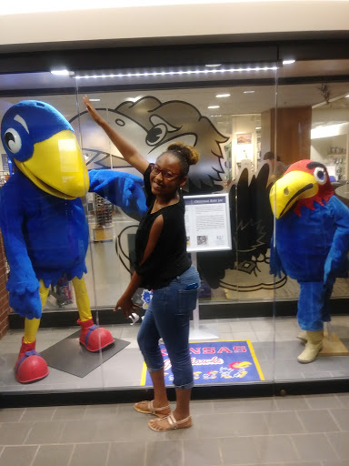 Book Store «KU Bookstore», reviews and photos, 1301 Jayhawk Blvd, Lawrence, KS 66045, USA