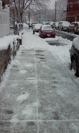 Park «Ceylon Park», reviews and photos, 105 Ceylon St, Boston, MA 02121, USA