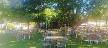 Atmosphère du Restaurant L'Île aux bateaux à Buzet-sur-Baïse - n°3