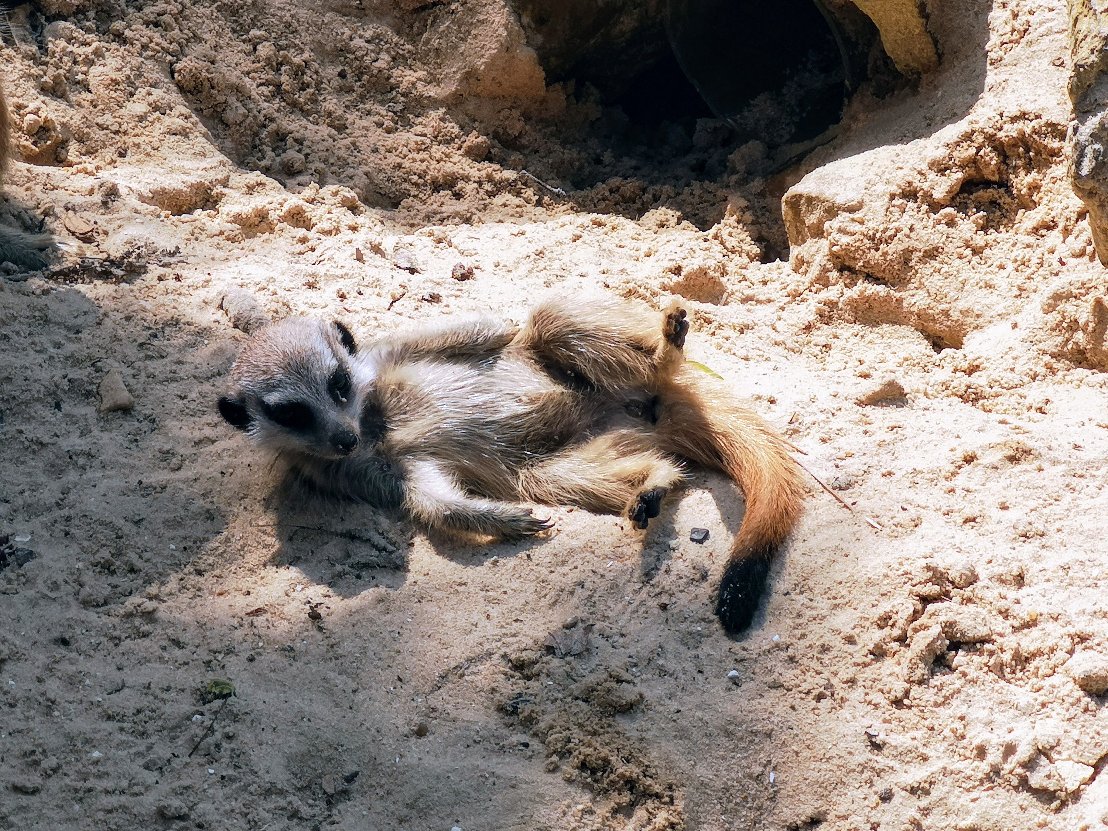 Photo n° 13 de l'avis de Bryan.r fait le 24/04/2018 à 19:19