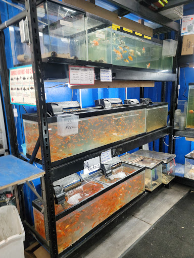 Animal Feed Store «Farmers Feed & Pet Supply», reviews and photos, 1302 E Miner Ave, Stockton, CA 95205, USA