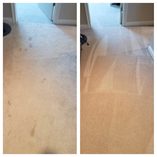 Carpet Cleaning Service «Indy Carpet Cleaning», reviews and photos, 5541 Guilford Ave, Indianapolis, IN 46220, USA