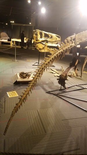 Museum of Science & Technology - photo 20