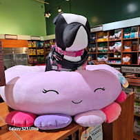 Earthwise Pet Nutrition & Grooming - Valencia - Photo 8 - Car repair in Valencia, CA, Santa Clarita