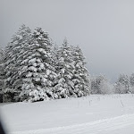 Photo n° 3 de l'avis de Bérangere.r fait le 01/01/2021 à 14:29 pour Domaine nordique du haut Forez / Col de la loge à La Chamba