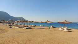 Photo de Dolphin Beach zone de l'hôtel