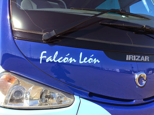 Autocares Falcon Leon SL