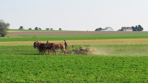 Heritage Museum «The Amish Farm and House», reviews and photos, 2395 Covered Bridge Dr, Lancaster, PA 17602, USA