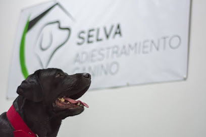 Escuela Canina Selva